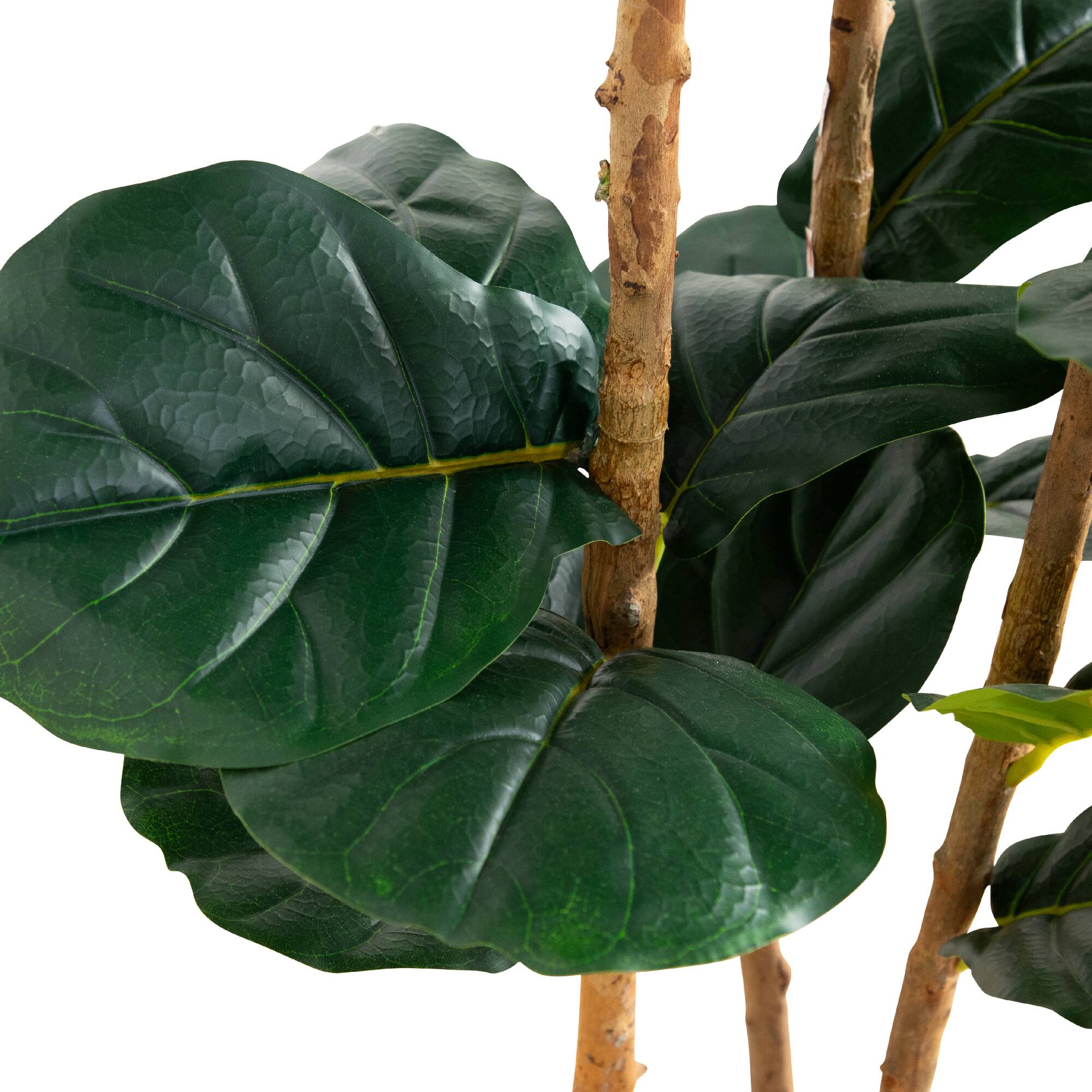 5ft. Fiddle Leaf Tree in Decorative White Planter